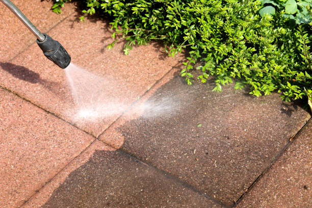 Best Exterior Home Cleaning  in Casselberry, FL